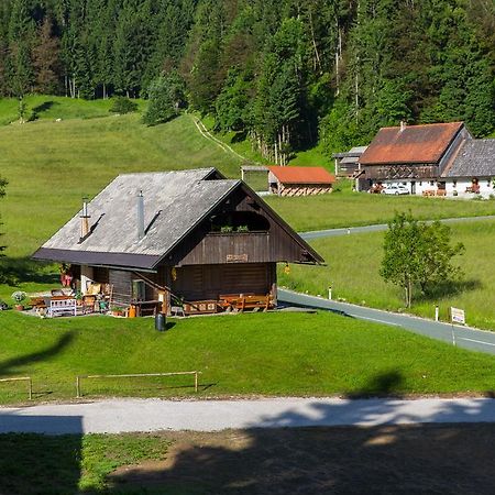 Brunarica Bled Zatrnik Pokljuka Bagian luar foto