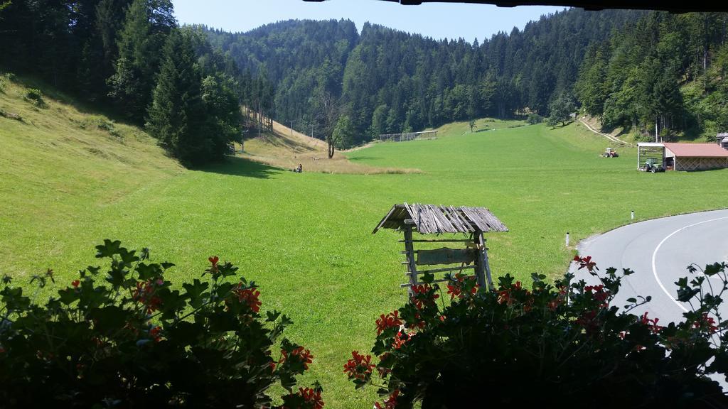 Brunarica Bled Zatrnik Pokljuka Ruang foto