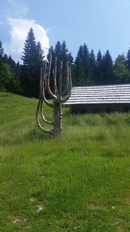 Brunarica Bled Zatrnik Pokljuka Bagian luar foto