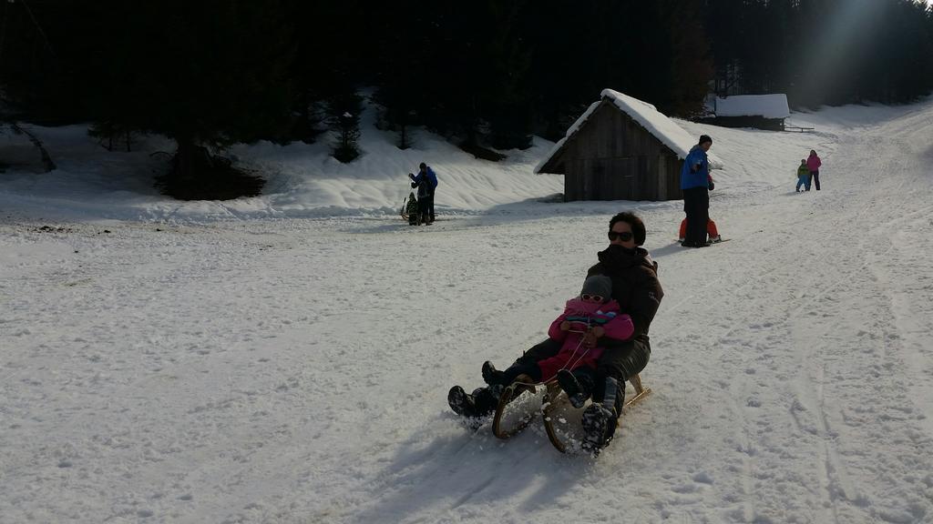 Brunarica Bled Zatrnik Pokljuka Bagian luar foto