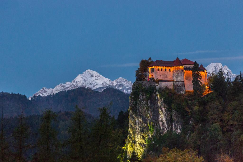 Brunarica Bled Zatrnik Pokljuka Bagian luar foto