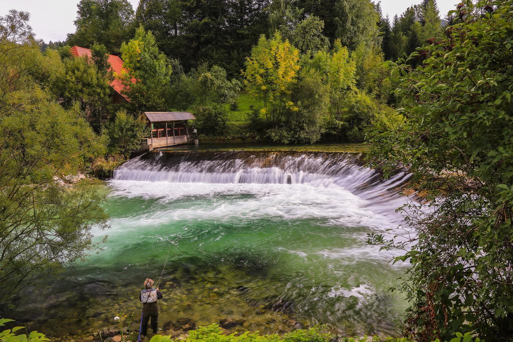 Brunarica Bled Zatrnik Pokljuka Bagian luar foto