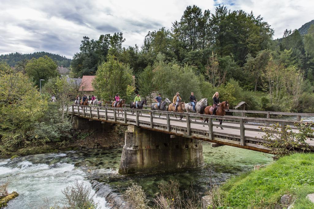 Brunarica Bled Zatrnik Pokljuka Bagian luar foto
