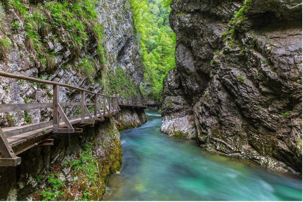 Brunarica Bled Zatrnik Pokljuka Bagian luar foto