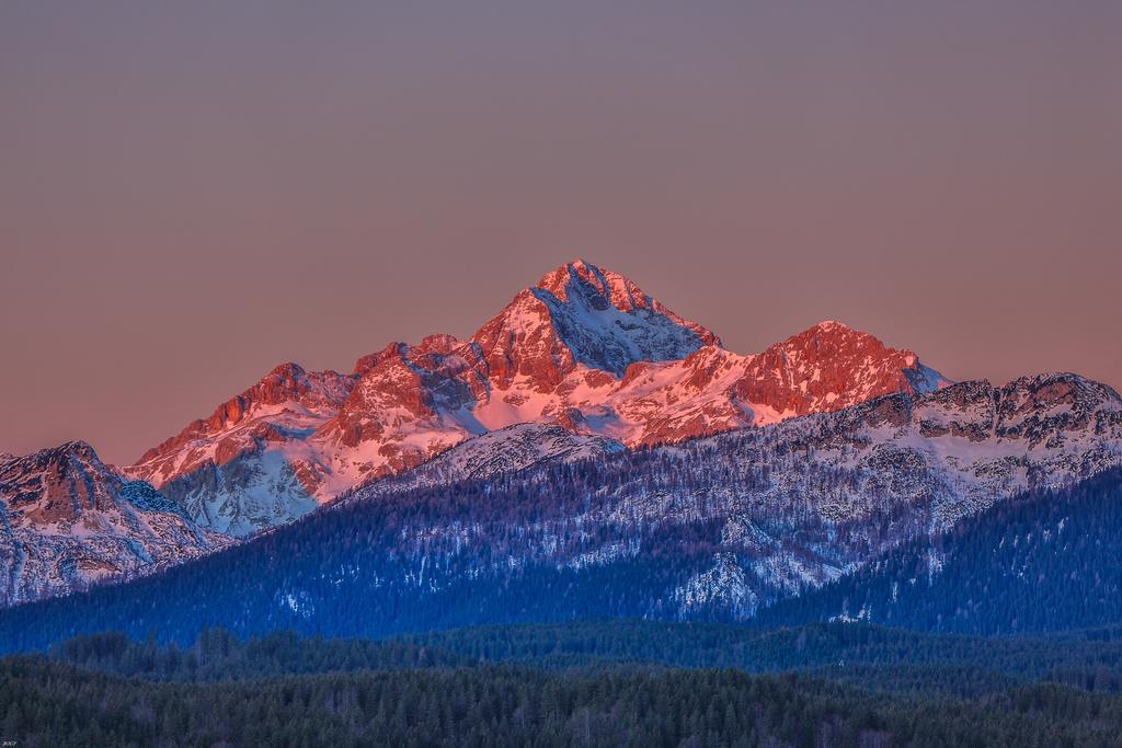 Brunarica Bled Zatrnik Pokljuka Bagian luar foto