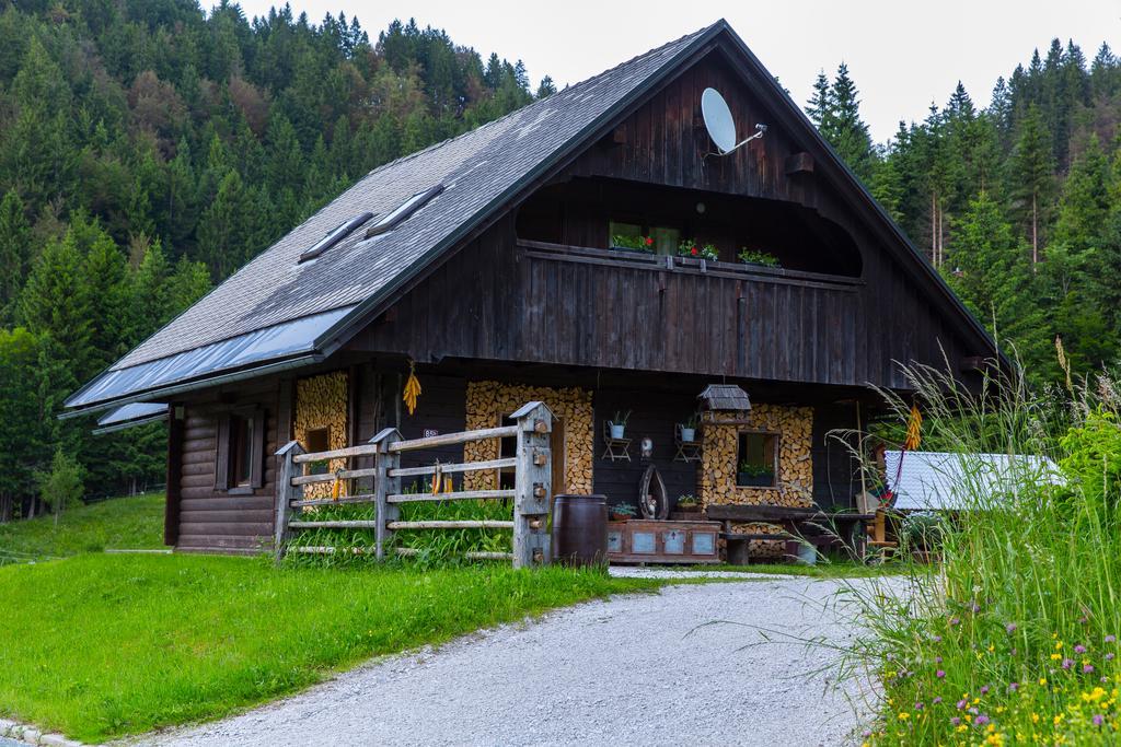 Brunarica Bled Zatrnik Pokljuka Bagian luar foto