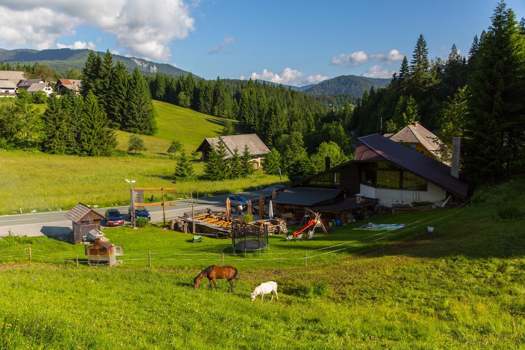 Brunarica Bled Zatrnik Pokljuka Bagian luar foto